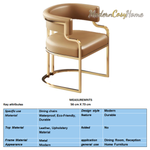 Dining Chairs with Metal Frame